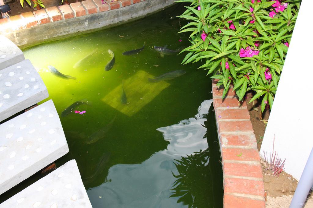 Countryside Garden Homestay Hoi An Esterno foto