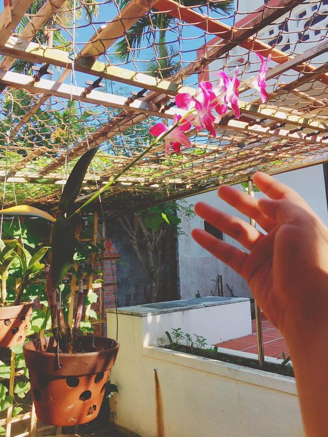 Countryside Garden Homestay Hoi An Esterno foto